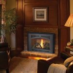 lopi gas stove insert