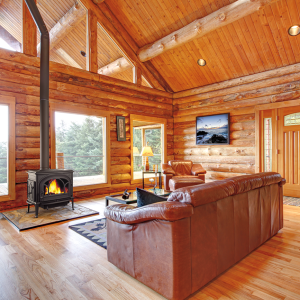 jotul wood burning stove