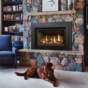 kozy heat propane fireplace insert